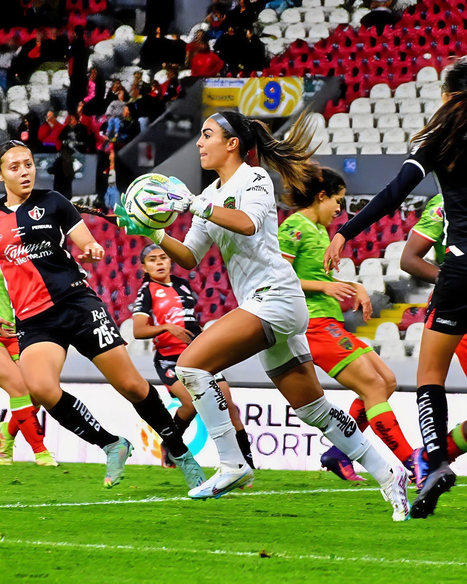 Stefani Jimenez Stefani Jimenez